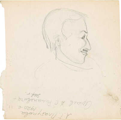 Платунова Александра Георгиевна. Сбор яблок